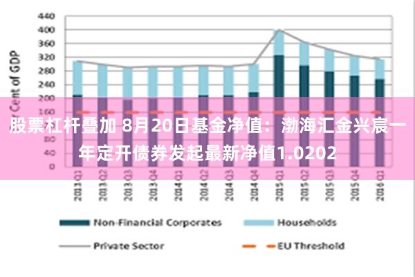 股票杠杆叠加 8月20日基金净值：渤海汇金兴宸一年定开债券发起最新净值1.0202