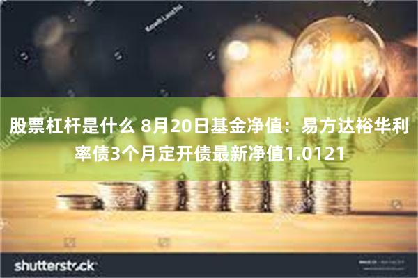 股票杠杆是什么 8月20日基金净值：易方达裕华利率债3个月定开债最新净值1.0121