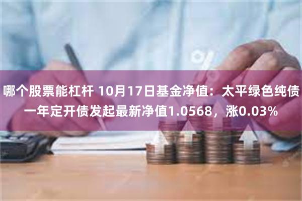 哪个股票能杠杆 10月17日基金净值：太平绿色纯债一年定开债发起最新净值1.0568，涨0.03%