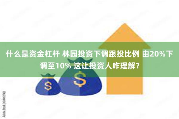 什么是资金杠杆 林园投资下调跟投比例 由20%下调至10% 这让投资人咋理解？