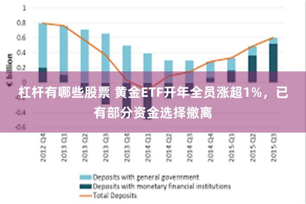 杠杆有哪些股票 黄金ETF开年全员涨超1%，已有部分资金选择撤离