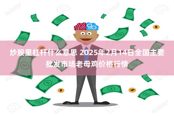 炒股里杠杆什么意思 2025年2月14日全国主要批发市场老母鸡价格行情