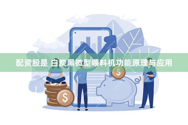 配资股是 白炭黑微型喂料机功能原理与应用