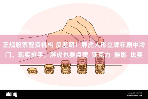 正规股票配资机构 反差萌！胖虎人形立牌在剧中冷门、现实抢手，胖虎也要点赞_亚克力_摄影_比赛