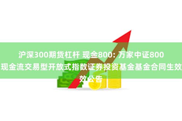 沪深300期货杠杆 现金800: 万家中证800自由现金流交易型开放式指数证券投资基金基金合同生效公告